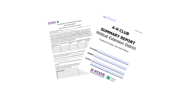 picture of end of year forms for clubs to complete