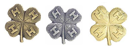 Achievement Pins