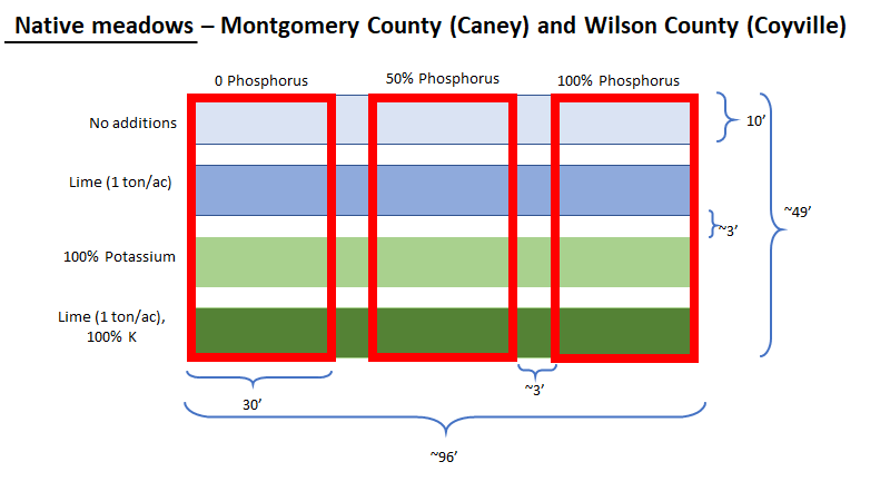 Native Meadows Caney Coyville