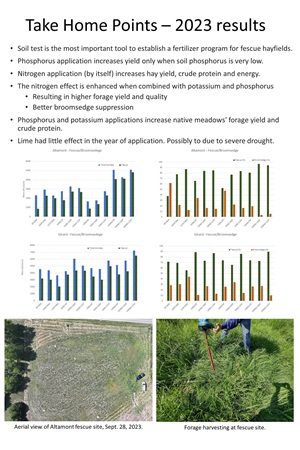 Broomsedge Slide 3