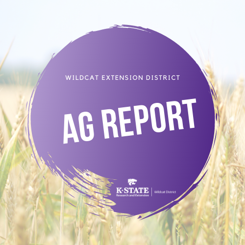 Ag Report Podcast