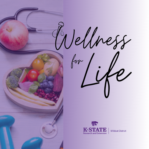 Wellness for Life Podcast