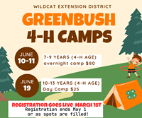 greenbush camp