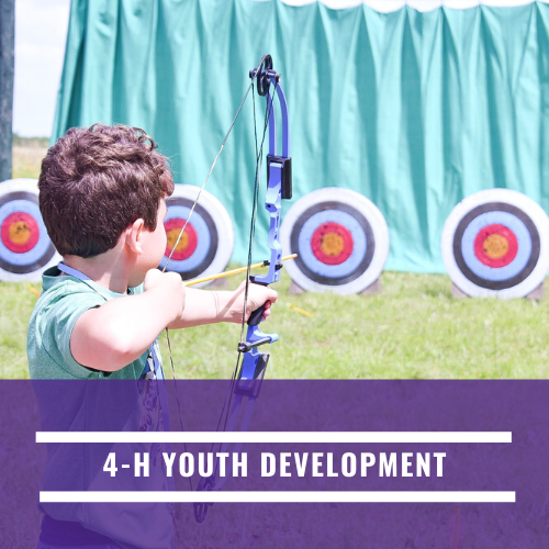4-H Youth Development