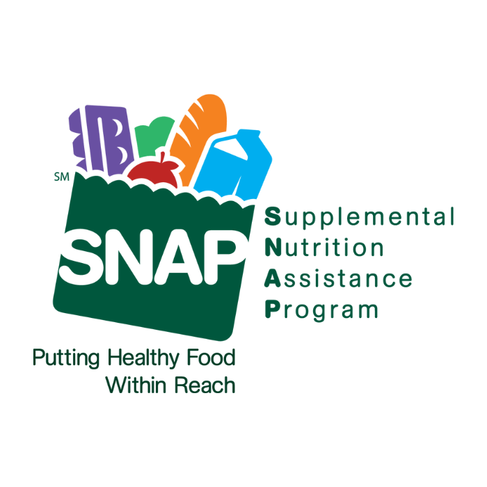 Snaped logo24